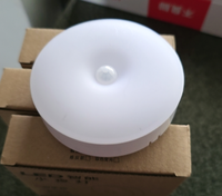 Veilleuse LED rechargeable mini à lumière blanc chaud avec détecteur de mouvement et contrôle par induction pour chambre, maison et cuisine