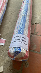 Estacas de Bambú Natural de Origen Vietnamita para Soporte Agrícola, Cañas de Jardín para Vegetales, Flores, Viveros y Viñedos (Venta al Por Mayor) - Product Image 4