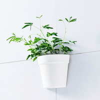 Pot de fleurs en plastique suspendu, en forme de demi-cercle, décoration de maison, bac à plantes, jardinières