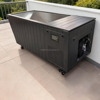 Nuevo Diseño 2025: Enfriador de Bañera Automático de Lujo para Exteriores con Filtro, Bomba de Motor y Control Inteligente WiFi, 500L, para 2 Personas, de Doble Uso