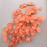 Feuilles de pomme séchées naturelles, blanches et roses, décoratives, pour arrangements de mariage.