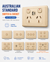 Interrupteur mural doré standard australien 10A 6 prises 1-5 gang avec interrupteur d'éclairage et adaptateur USB Type C SDK prise AU