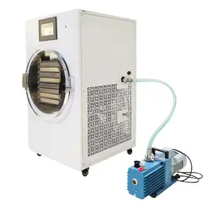 Home Use Ordinary Type Stainless Meat Freeze Drying Area Vacuum Freeze Dryer
