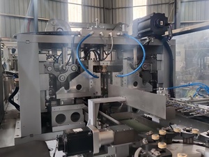Máquinas Automáticas para Líneas de Producción de Soluciones de Glucosa IV, 2000 BPH, 500 ml, Máquina de Soplado Automática Adecuada para el Soplado de Envases - Product Image 3