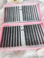 Carnet de faux cils en grappe segmentés à colle chaude, grande capacité, 32 rangées, 30D/40D/50D/60D, pour pose DIY
