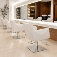 Ensemble de mobilier de salon de beauté XFMC Factory Outlet : Fauteuil de barbier de luxe et fauteuil de lavage haut de gamme en acier inoxydable pour poste de salon