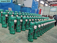 Nouvelle palan électrique à câble métallique à double vitesse de 1 à 10 tonnes, hauteur de levage de 3 à 30 mètres, télécommande sans fil, protection IP55, 380V
