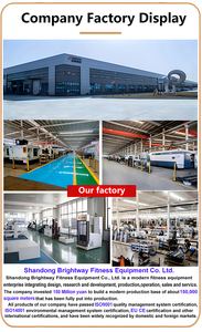 Équipement de fitness élégant et récemment lancé par <span class=keywords><strong>Brightway</strong></span>, Big Bird Cable Crossover et machine à squats - Product Image 6