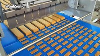 Équipement de découpe pour boulangerie, coupeur ultrasonique automatique Wanlisonic pour biscuits et gâteaux, pour applications en boulangerie