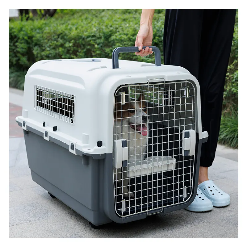 Venda quente Transporte Consignment Outing Travel Dog Cage PP Air Travel Pet Carrier Box