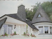 Tuile d'ardoise de toit de toiture de faible teneur en calcium noir naturel pour la tuile de toit de villa