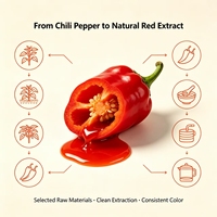 Extrait de couleur liquide de paprika rouge naturel de qualité supérieure, de qualité alimentaire, avec capsaïcine et oléorésine, en bouteille/fût