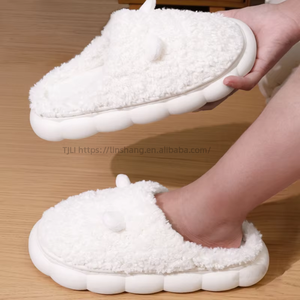 Pantoufles de créateur en EVA de haute qualité pour femmes, pantoufles en fourrure pelucheuse pour femmes avec assurance qualité - Product Image 1