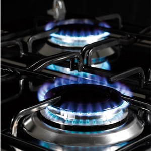 Xunda – cuisinière à <span class=keywords><strong>Pizza</strong></span> avec <span class=keywords><strong>four</strong></span> électrique d'extérieur, cuisinière à gaz avec <span class=keywords><strong>four</strong></span> - Product Image 3