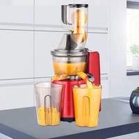 Groothandel Multifunctionele Grote Opening Koudgeperste Verticale Fruit- en Groentesap Slow Juicer Machine