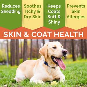 Suplementos de piel suave y abrigo para masticar gatos OEM/ODM personalizados superventas, deliciosos masticables rellenos para una piel y cabello suaves - Product Image 2