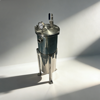 Filtre à sac sanitaire en acier inoxydable : Haute capacité, conception à couvercle plat pour l'alimentation et les boissons, la peinture, les revêtements et l'encre.