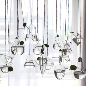 Ronde larme ange coeur hexagone clair Globe <span class=keywords><strong>suspendu</strong></span> Terrarium Air-<span class=keywords><strong>plante</strong></span> jardin <span class=keywords><strong>boule</strong></span> de <span class=keywords><strong>verre</strong></span> sphère photophore SUCCULENT titulaire - Product Image 3