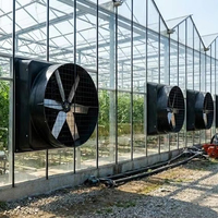 Ventilador de Extracción para Invernadero de Alta Resistencia de 72 Pulgadas, Carcasa de PE, Protección IP55, 70500 CFM, Ventilación Industrial, Refrigeración, Sin Escobillas, con Control por Aplicación