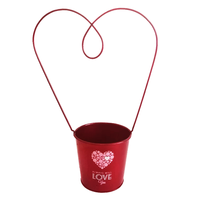 Pot de fleurs en métal cadeau Saint Valentin rouge Japon mignon mini serre message pot de plante
