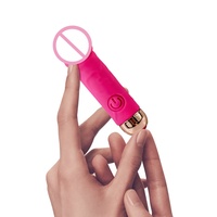 Mini vibromasseur réaliste 10 vitesses, stimulateur clitoridien et point G, rechargeable par USB, silencieux et étanche, outil de plaisir discret