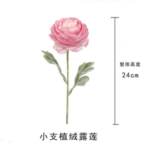 ดอกโบตั๋นประดิษฐ์ 24 ซม. ดอกไม้ผ้าไหม สีชมพู เหลือง ส้ม แดง ม่วงแดง ชมพูอ่อน แชมเปญ ขาว สำหรับตกแต่งบ้าน งานแต่งงาน - Product Image 4