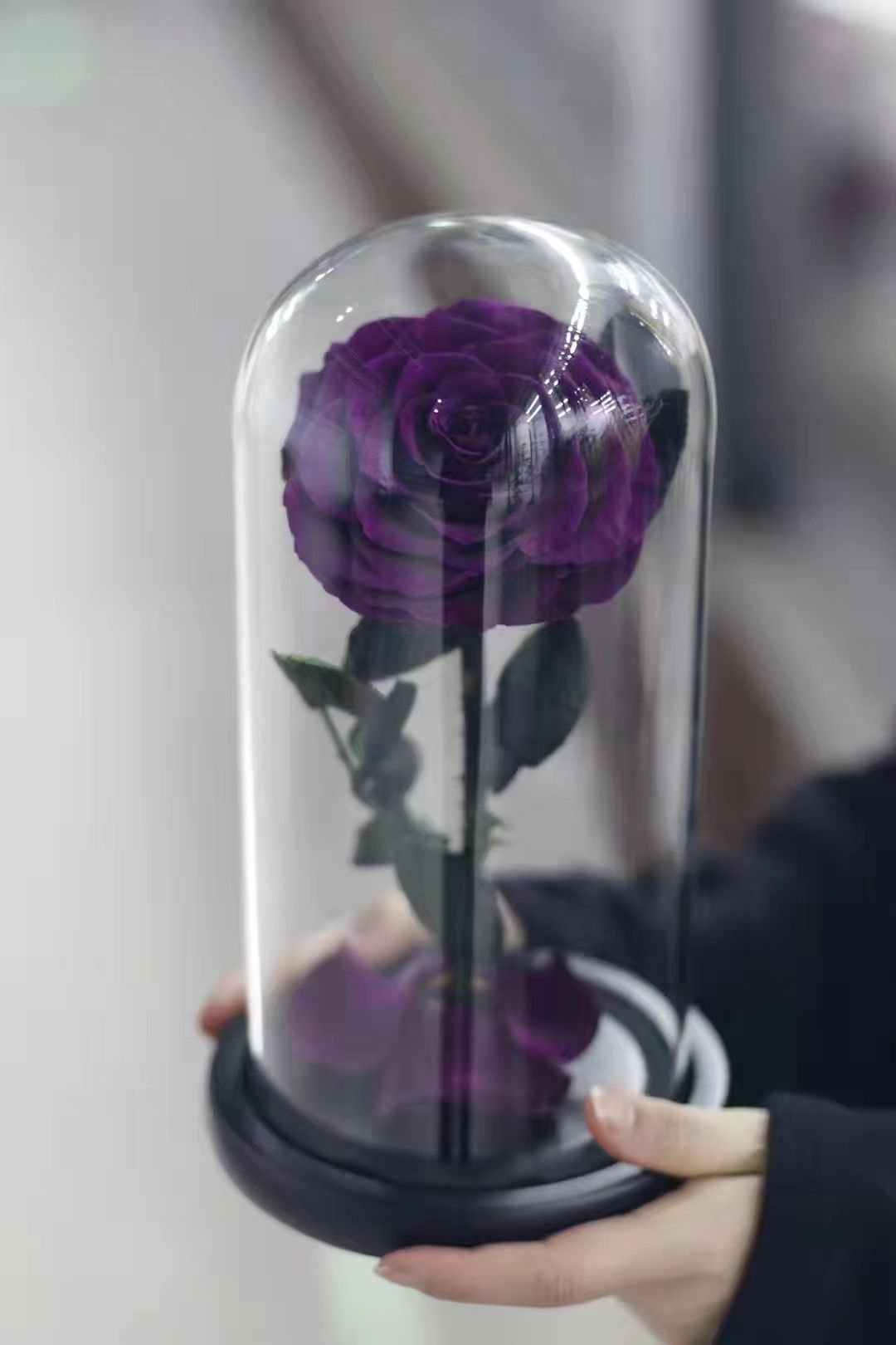 Violet simple (15*30cm)