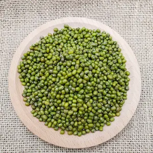 Fagioli verdi verdi ad alto tasso di germinazione semi di grammo verde in vendita