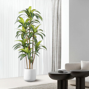 Plante artificielle en bois brésilien Dongguan Dream Castle, 100-200 cm, PVC, décoration intérieure, ornement pour salon - Product Image 4