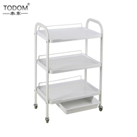 Chariot de Salon de Beauté et Spa en Plastique Blanc, Prix Usine, OEM ODM, Capacité de Charge 45KG, Usage Commercial Hôtel et Salle de Sport