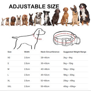 Collar reflectante para mascotas con luz intermitente a prueba de agua personalizado ajustable USB tipo C recarga collar luminoso LED de lujo para perros - Product Image 3