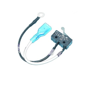 Micro-interrupteur de protection anti-extinction pour cuisinière à gaz, avec fil de commande 1A et ensemble thermocouple - Product Image 1