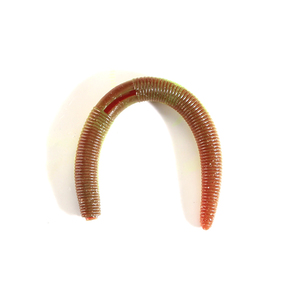 เหยื่อตกปลาแบบนิ่มชนิดน้ำจืดใหม่ ขนาด 135 มม. น้ำหนัก 10 กรัม แบบ Senko Worms - Product Image 4