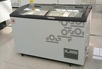 Vitrina para Helados / Congelador Sub-Zero / Congelador para Helados