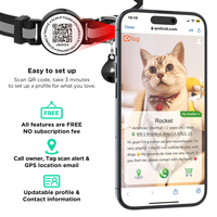 Nouveau 2026 : Lanière en nylon de luxe, personnalisable, réfléchissante, à dégagement rapide, solide, avec code QR intelligent et personnalisable pour logiciels sur mesure