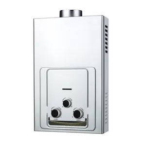 Home Appliance High Quality Flue Type Instant Tankless NG/LPG Gas Hot Water Heater For Shower