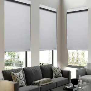 Dual Roller Blinds For Windows Roller Blinds Indoor Electric Motorized Blackout Horizontal Automatic Smart Shades For Window