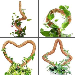 Tuteur en coco naturel flexible pour plantes grimpantes, support de croissance pour plantes et vigne - Product Image 6