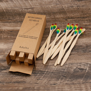 Paquete de 10 Biodegradable Hotel mango plano de madera de bambú cepillo de dientes - Product Image 1