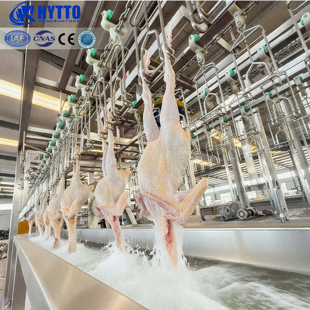 Plug-and-Play Small Chicken Slaughter Machine  No Technical Skills Needed with CE Certification 1000 Birds/ 1 Hour