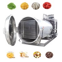 200Kg 300Kg Medium Vacuüm Snoepvlees Voedsel Vriesdroogmachines Gevriesdroogde Groente Fruit Vriesdroger Lyofilisator Machine.