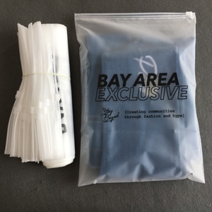 matte print custom poly zipper lock frosted plastic packing zipper garment packaging bag to for clothes eva with logo