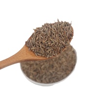 Graines de Cumin Séchées en Vrac de Haute Qualité à Prix Raisonnable