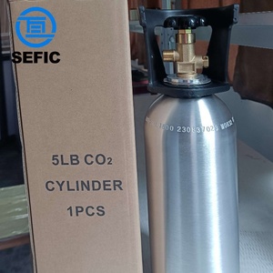 Vanne de bouteille de gaz Co2 standard à points professionnels 5lbs 8.9lbs 15lbs 20lbs Tuv Tped pour le marché nord-américain - Product Image 3