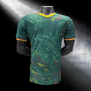 批发定制 26-2027 加蓬足球球衣 主客场足球套装 球员版 非洲杯足球球衣 不败狮队 - Product Image 2