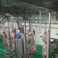 Maquinaria para Mataderos a Precio de Fábrica, Línea de Sacrificio de Ganado Vacuno y Ovino, Equipo para Mataderos