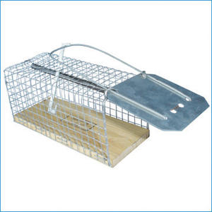 Trampas de Metal Reutilizables <span class=keywords><strong>para</strong></span> Ratones, Jaula de Malla Metálica <span class=keywords><strong>para</strong></span> Capturar <span class=keywords><strong>Ratas</strong></span> y Ratones, Diseño <span class=keywords><strong>para</strong></span> Control de Plagas en Jardines, Granjas y Uso Ligero - Product Image 3