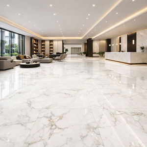 Vente directe d'usine : Carreaux de sol en céramique vitrifiée 60 x 60 blancs pour intérieur, idéaux pour les maisons et les salons en Chine - Product Image 5