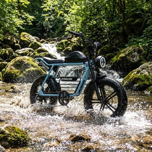 Bicicleta Eléctrica de Largo Alcance con Llantas Anchas y Batería Extraíble para Desplazamientos Diarios y Regalos - Product Image 6