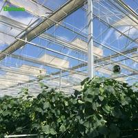 Filet d'ombrage en aluminium réfléchissant en PEHD haute densité anti-UV pour l'agriculture, la ferme et le jardinage